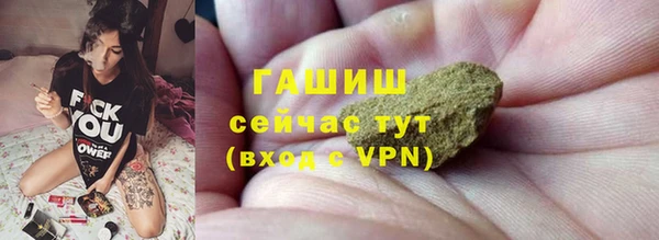 сатива Верея