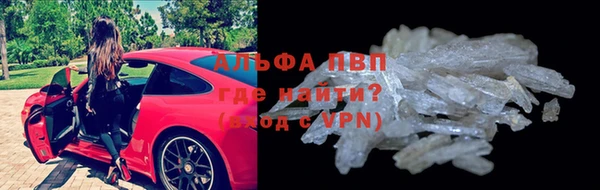 сатива Верея