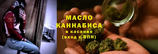 сатива Верея