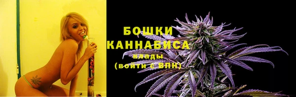 сатива Верея