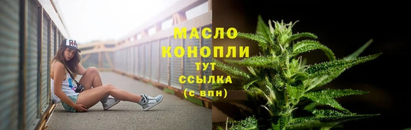 сатива Верея