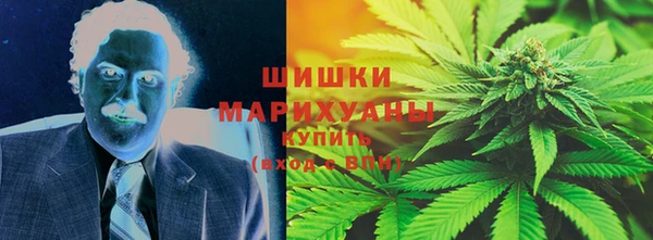 сатива Верея