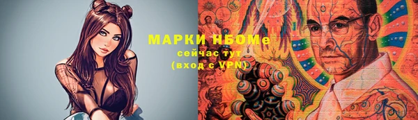 сатива Верея