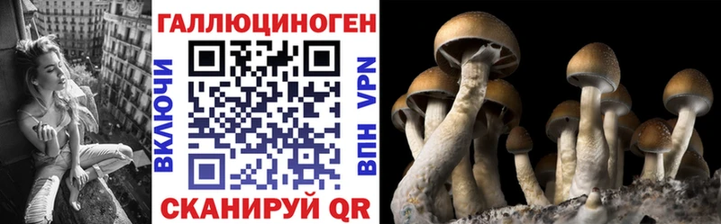 OMG ССЫЛКА  купить   Тбилисская  Псилоцибиновые грибы GOLDEN TEACHER 